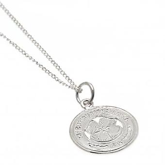 Celtic Sterling Silver Pendant & Chain