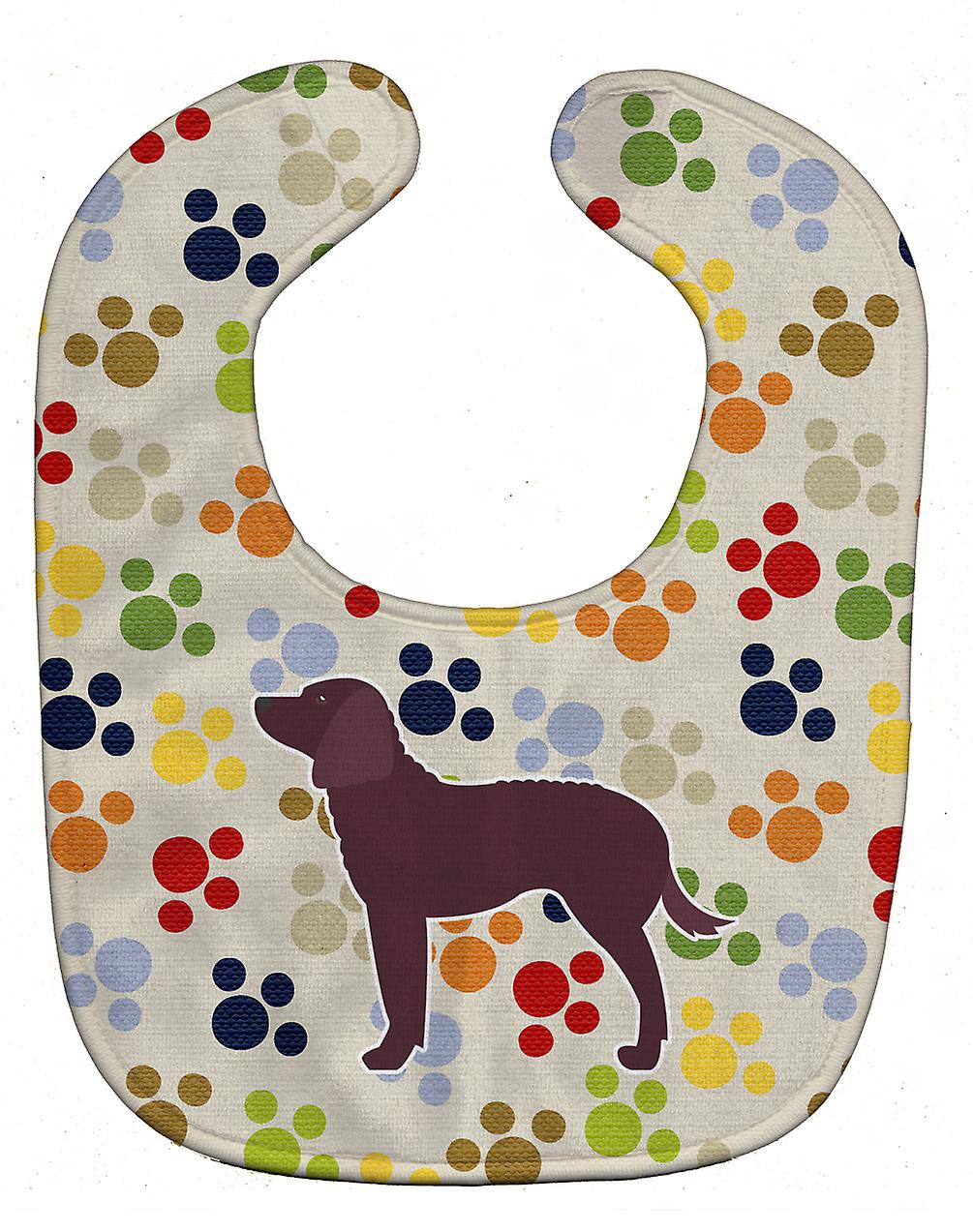 carolines treasures bb6306bib american water spaniel pawprints